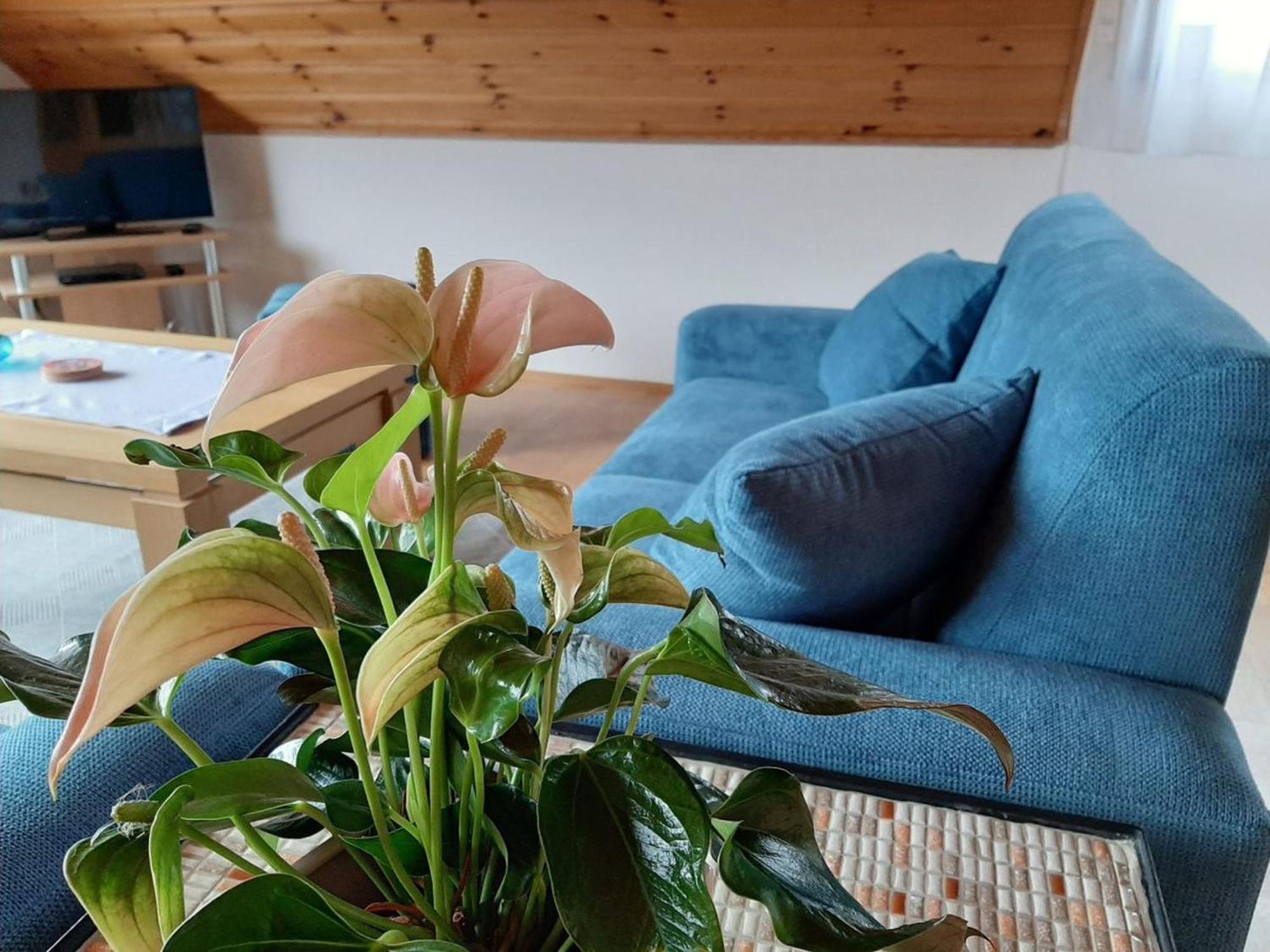 Ferienwohnung Am Patenberg Finnentrop Luaran gambar